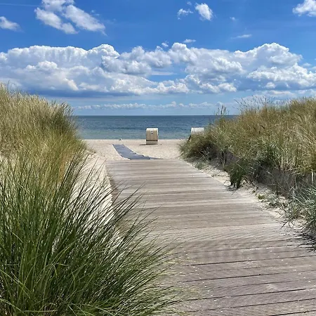 Nordische Flucht Nahe Der Ostsee *