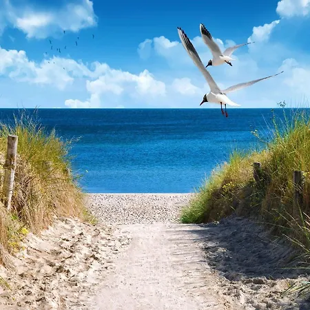 Nordische Flucht Nahe Der Ostsee Apartmán Großenbrode